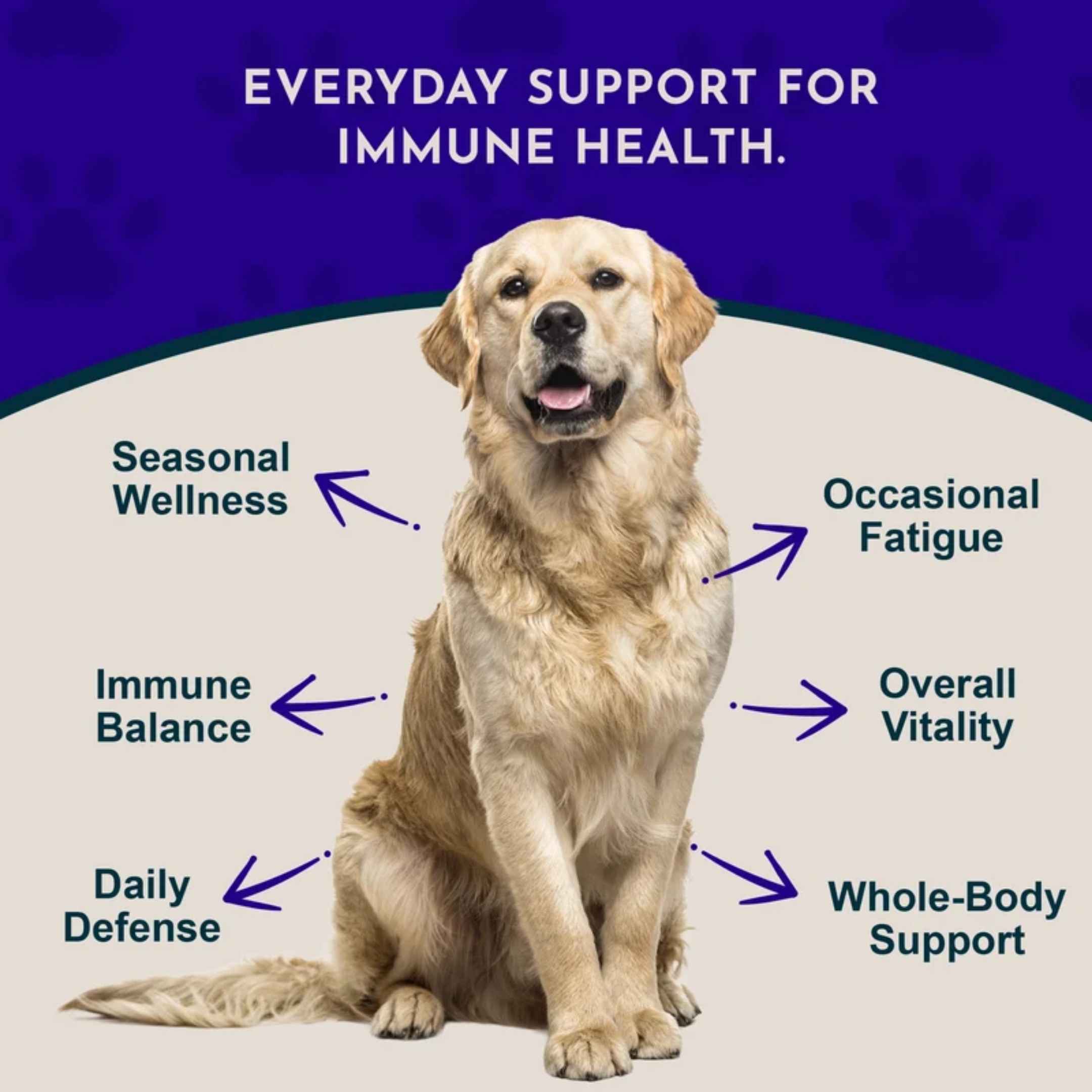 Animal Essentials™ Super Immune 強化免疫系統草本配方 2oz