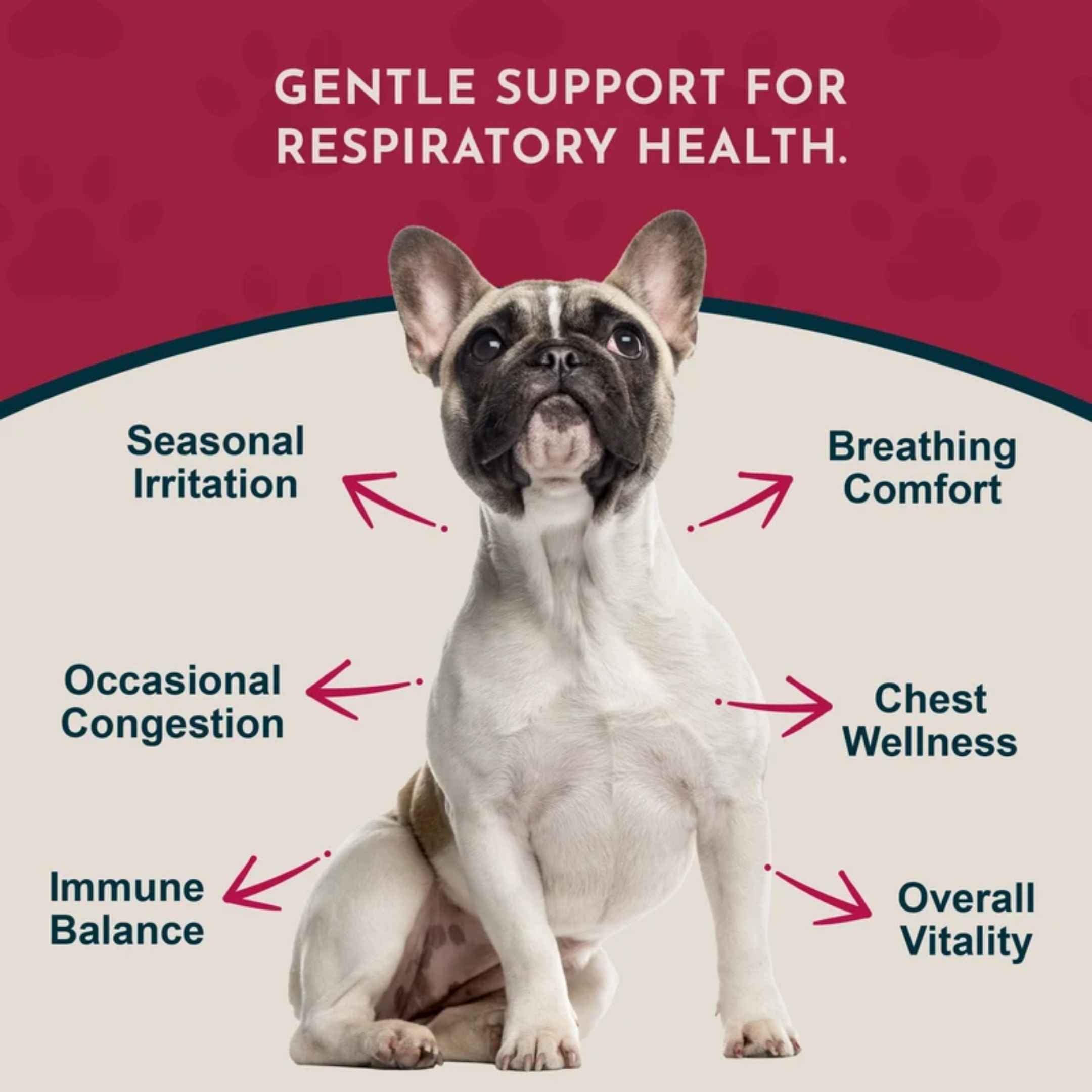 Animal Essentials™ Breathe EZ 呼吸道暢順草本配方