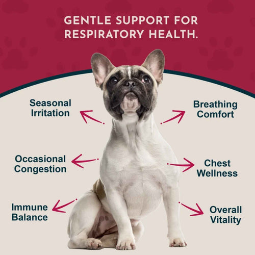 Animal Essentials - Breathe EZ Healing Herbal Series - Breathe EZ 2oz