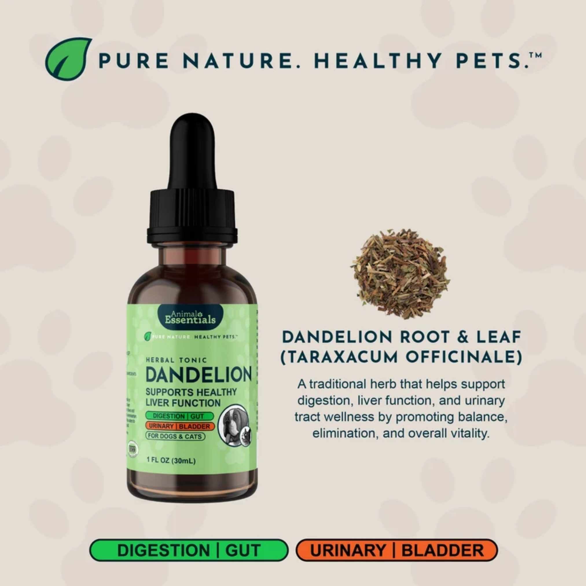 Animal Essentials Dandelion Herbal Tonic