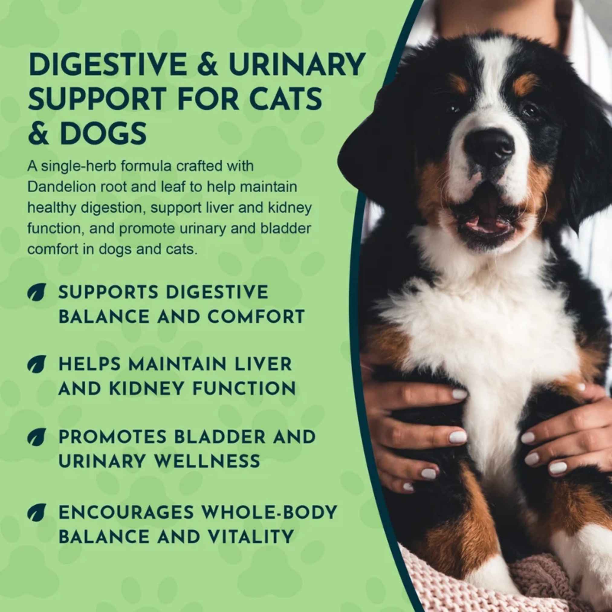 Animal Essentials Dandelion Herbal Tonic