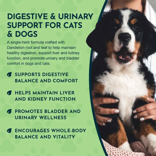Animal Essentials Dandelion Herbal Tonic