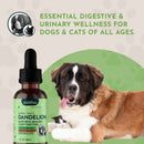 Animal Essentials Dandelion Herbal Tonic
