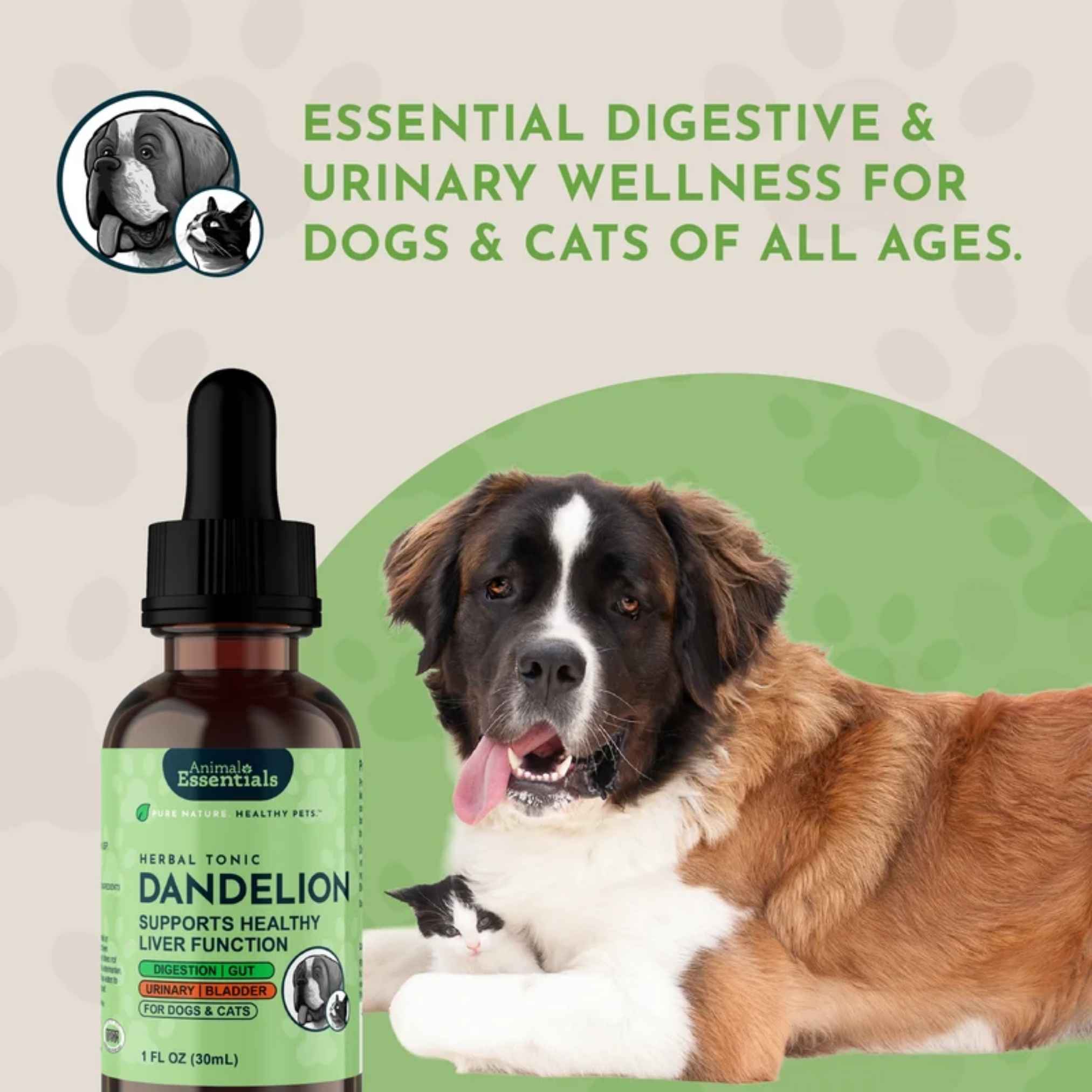 Animal Essentials Dandelion Herbal Tonic