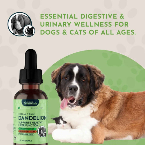 Animal Essentials Dandelion Herbal Tonic