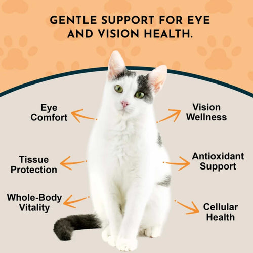 Animal Essentials Eye Defense Herbal Tonic Blend