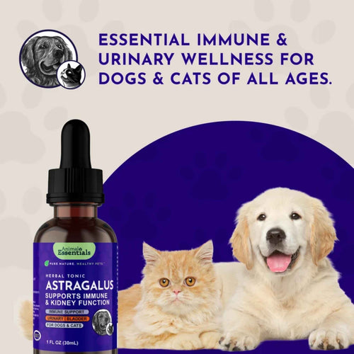 Animal Essentials Astragalus Single Herbal Tonic