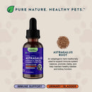 Animal Essentials Astragalus Single Herbal Tonic
