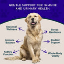 Animal Essentials Astragalus Single Herbal Tonic