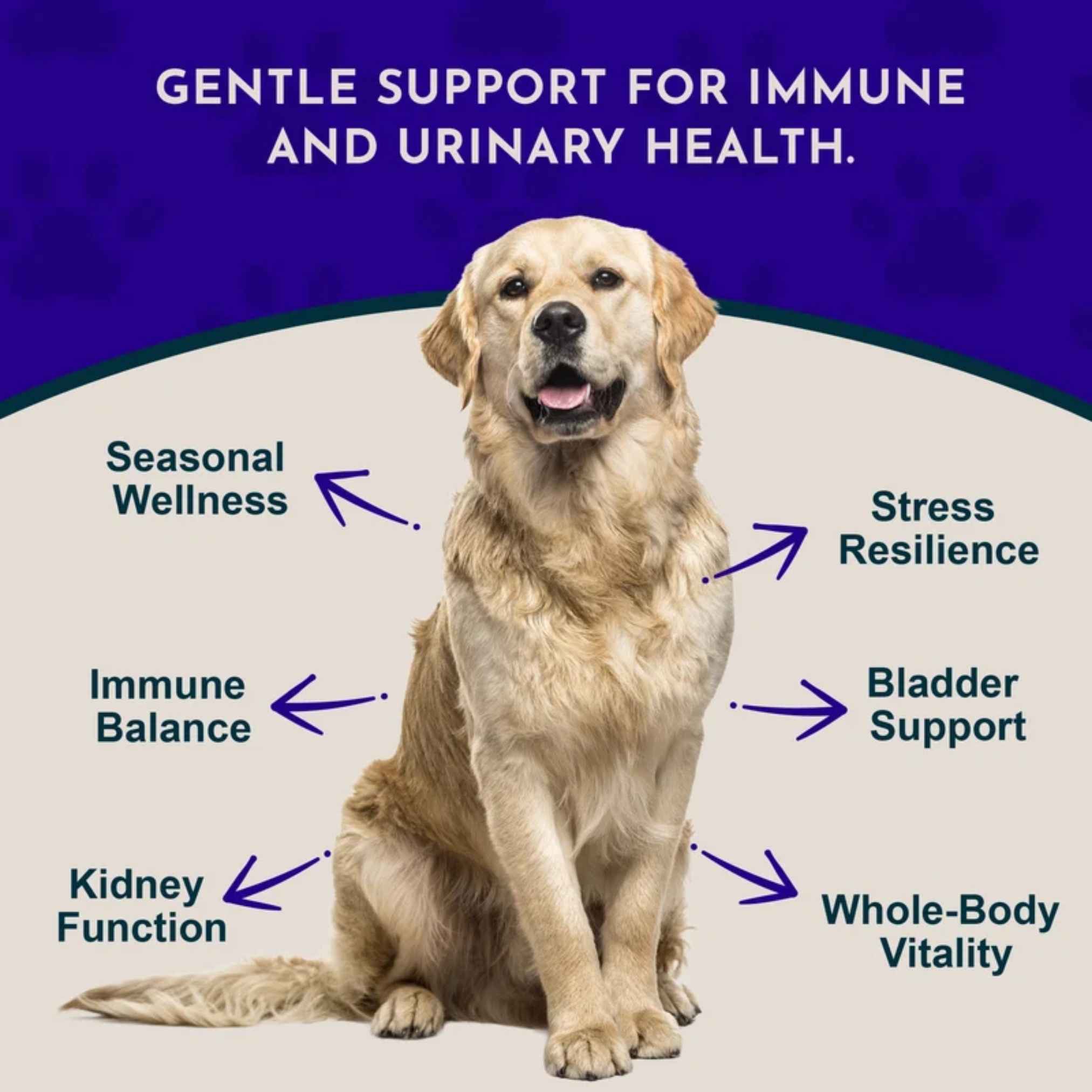 Animal Essentials Astragalus Single Herbal Tonic