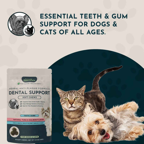 Animal Essentials Dental Support 潔齒護齦草本軟粒 60粒