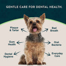 Animal Essentials Dental Support 潔齒護齦草本軟粒 60粒