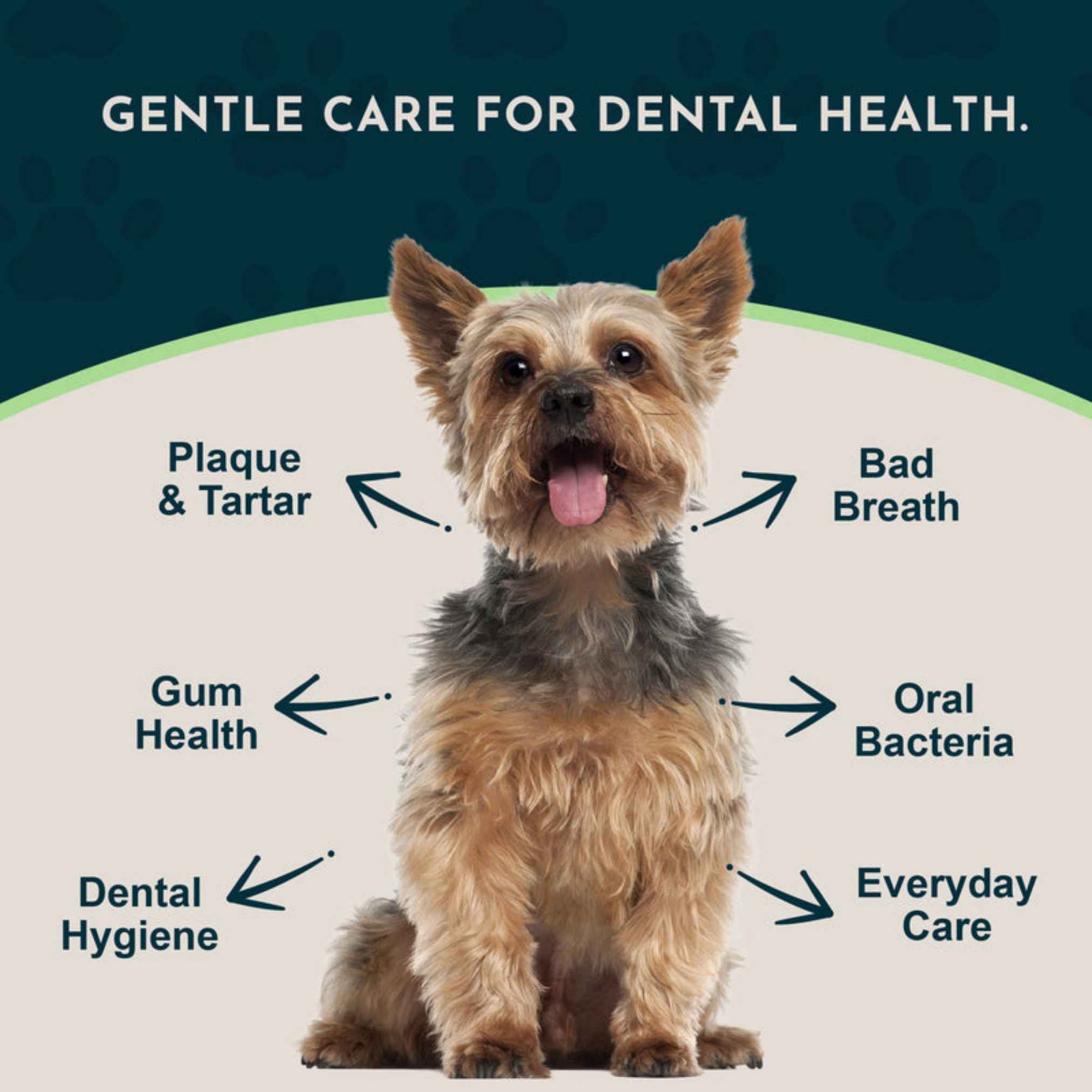Animal Essentials Dental Support 潔齒護齦草本軟粒 60粒