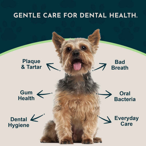 Animal Essentials Dental Support 潔齒護齦草本軟粒 60粒