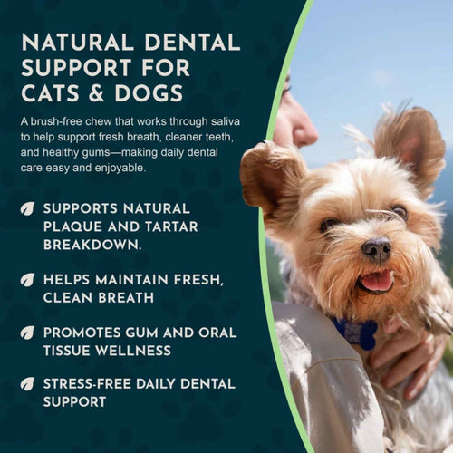 Animal Essentials Dental Support 潔齒護齦草本軟粒 60粒