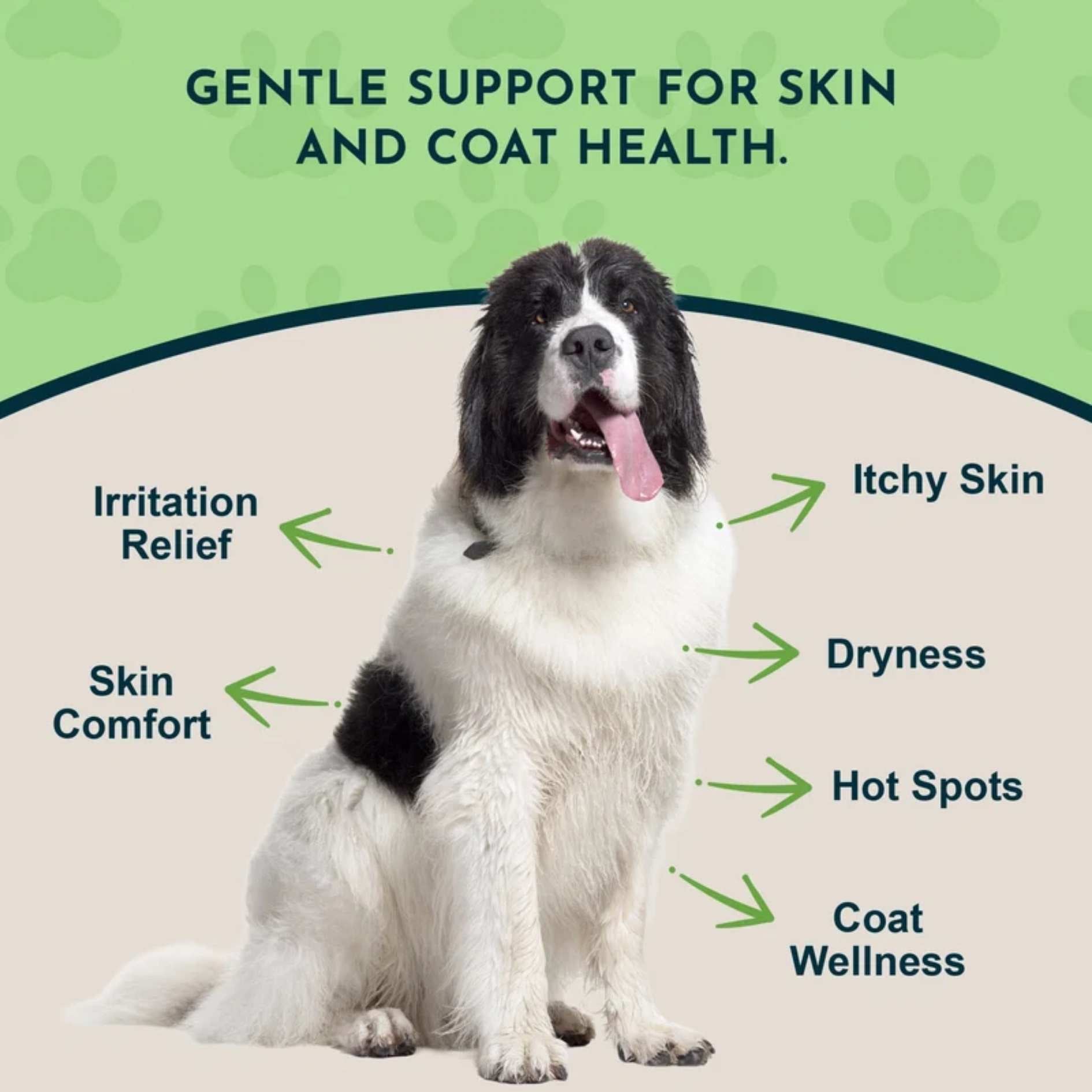Animal Essentials FidoDerm Herbal Skin Spray