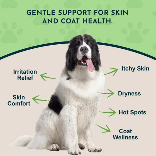 Animal Essentials FidoDerm Herbal Skin Spray