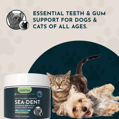 Animal Essentials -Sea Dent Of Dog 除口氣牙石粉2.47oz