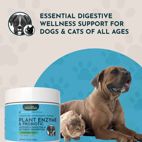 Animal Essentials - Plant Enzymes & Probiotics 300g