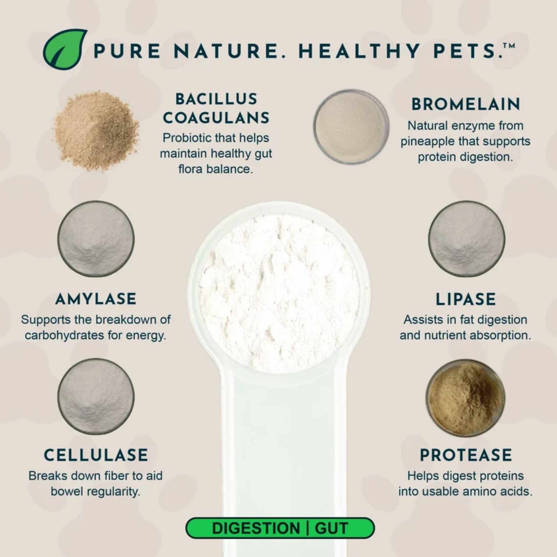 Animal Essentials - Plant Enzymes & Probiotics 300g