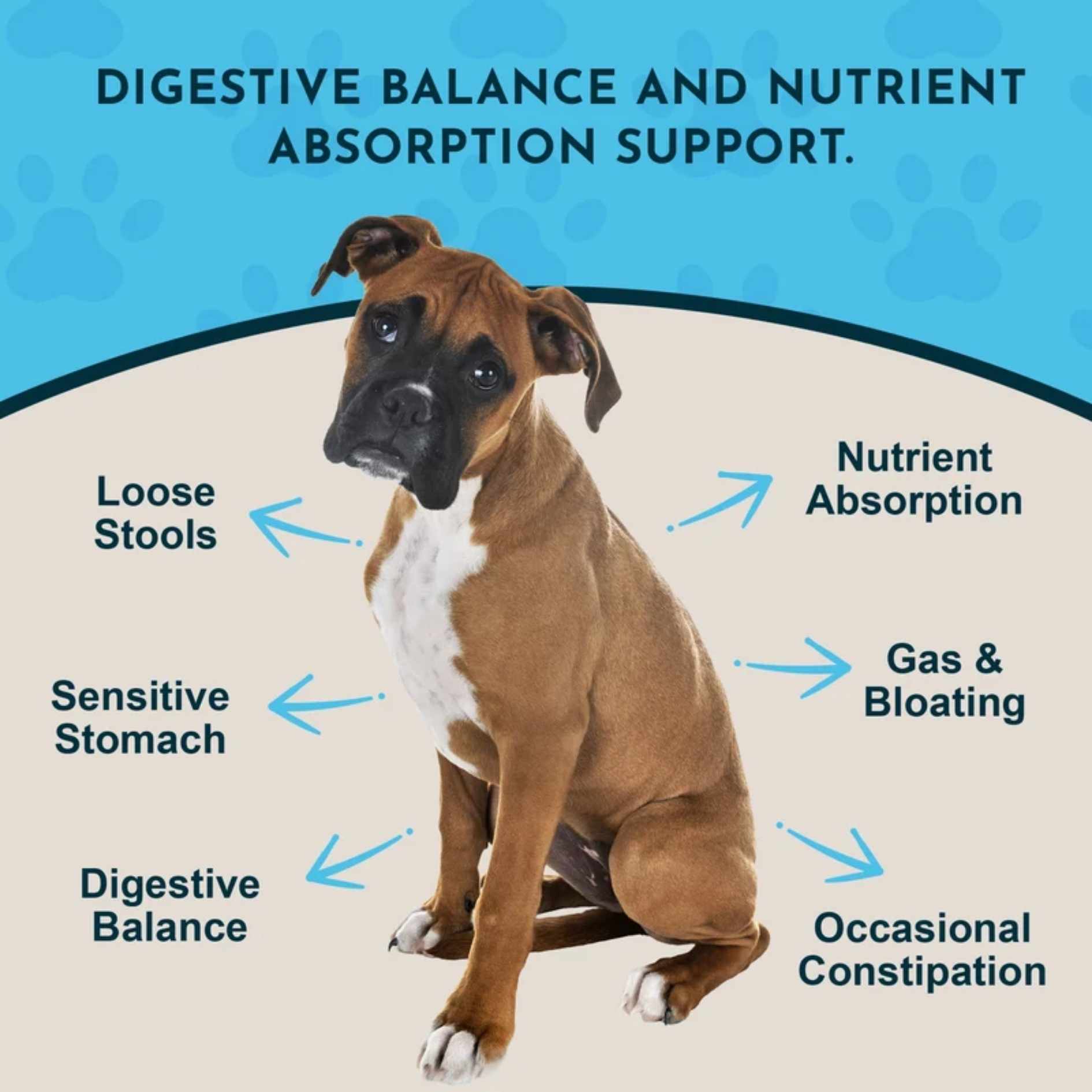 Animal Essentials - Plant Enzymes & Probiotics 300g
