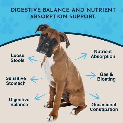 Animal Essentials - Plant Enzymes & Probiotics 300g