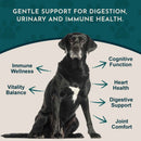 Animal Essentials Senior Support Herbal Tonic Blend 2oz