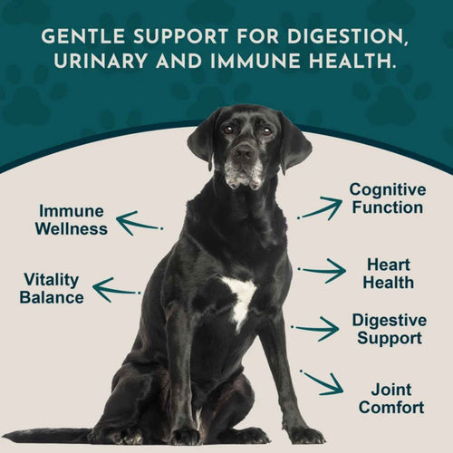 Animal Essentials Senior Support Herbal Tonic Blend 2oz