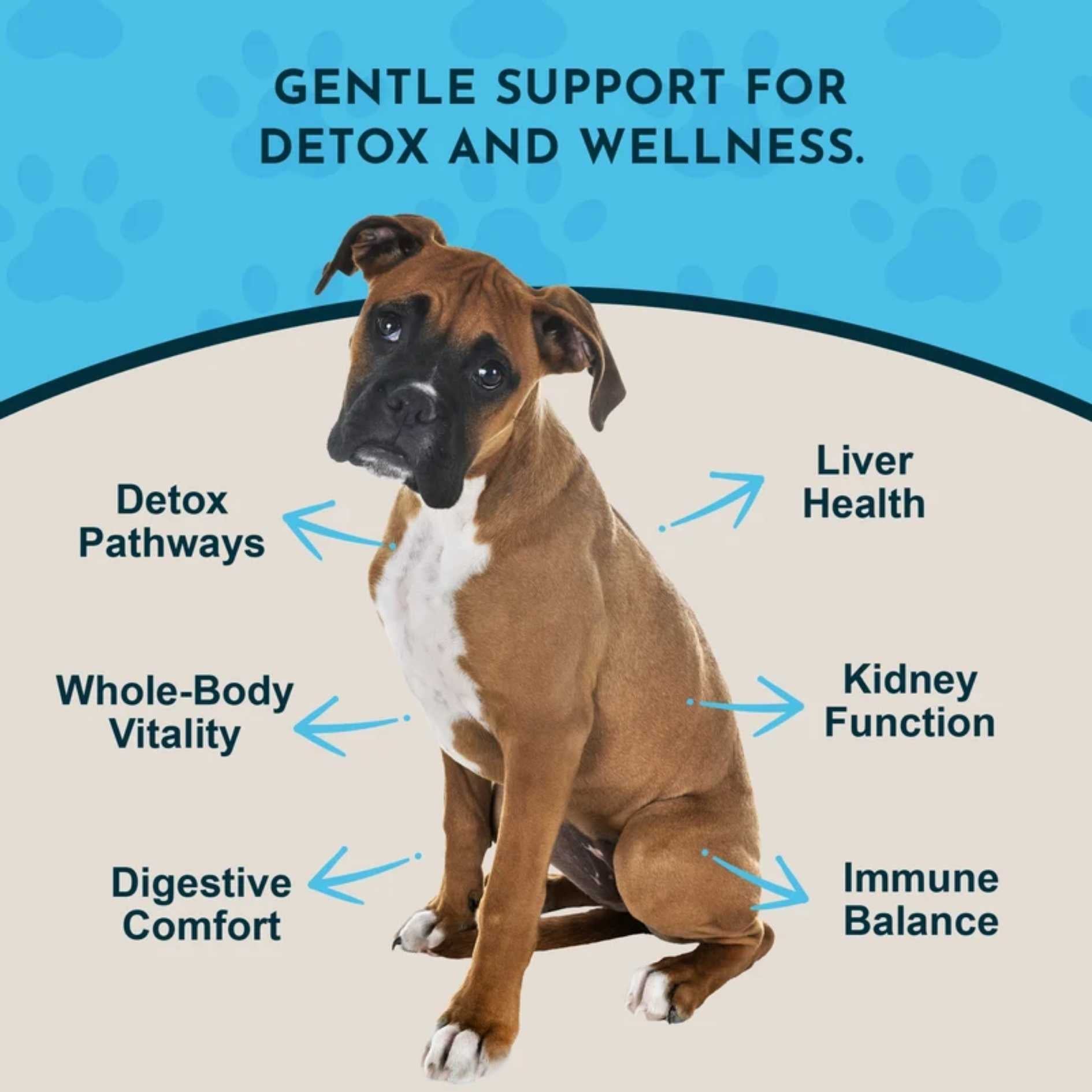 Animal Essentials™ Detox Blend 長效排毒皮膚治療草本配方 2oz