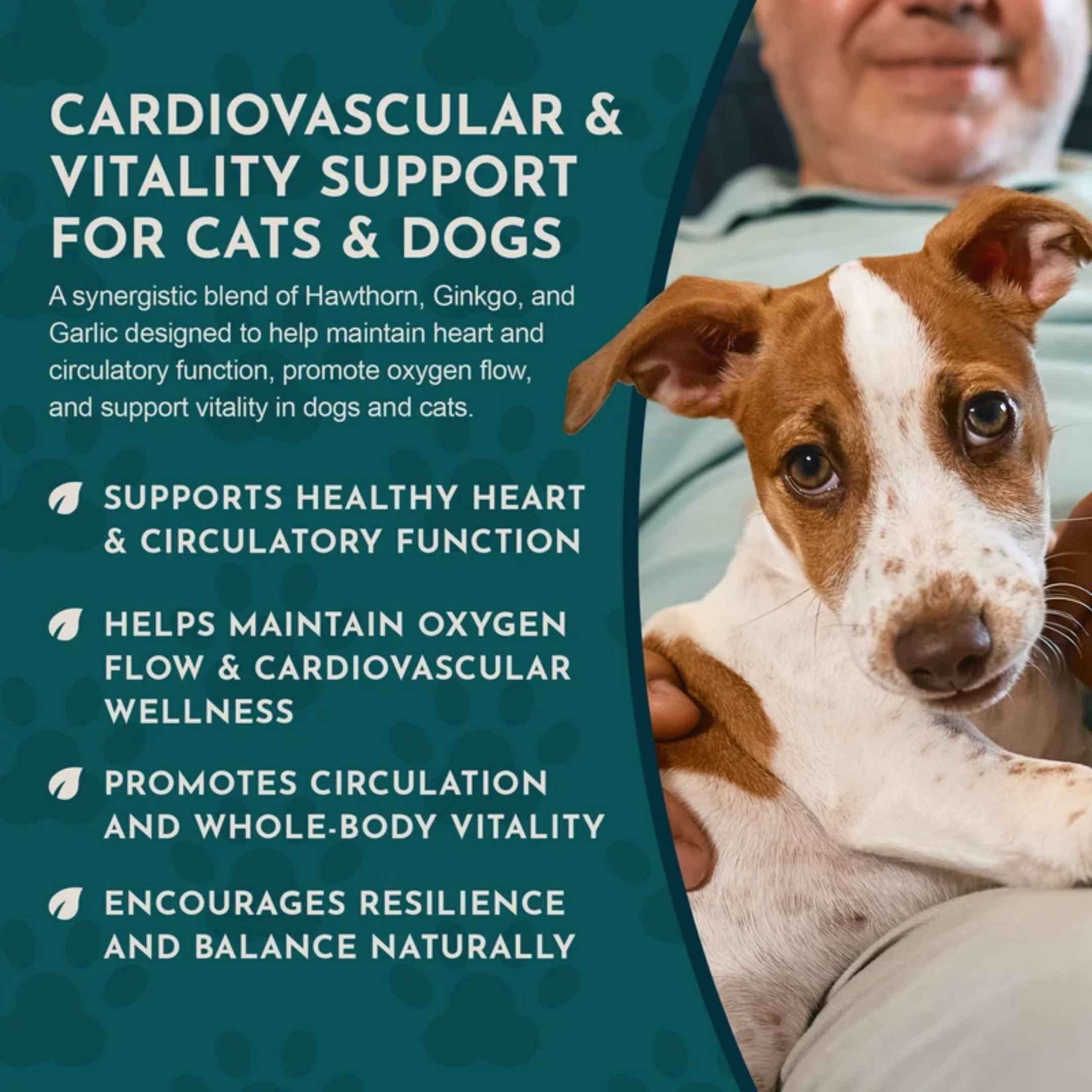 Animal Essentials™ Heart Health 強化心臟抗氧化草本配方