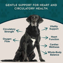 Animal Essentials™ Heart Health 強化心臟抗氧化草本配方