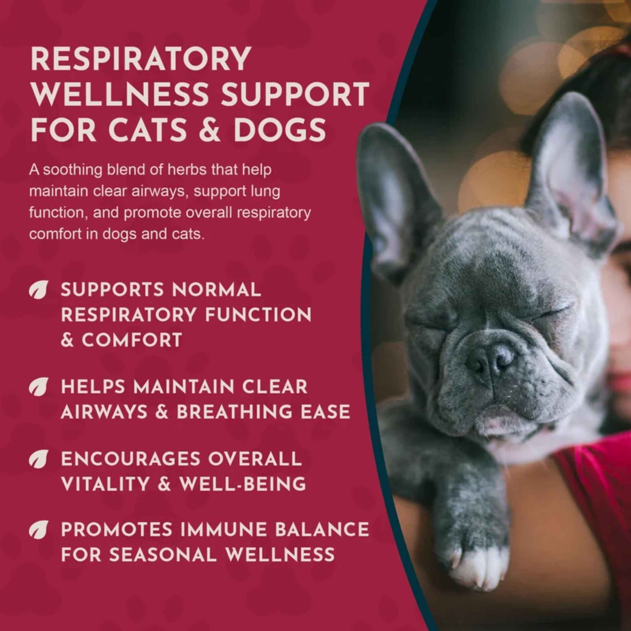 Animal Essentials - Breathe EZ Healing Herbal Series - Breathe EZ 2oz