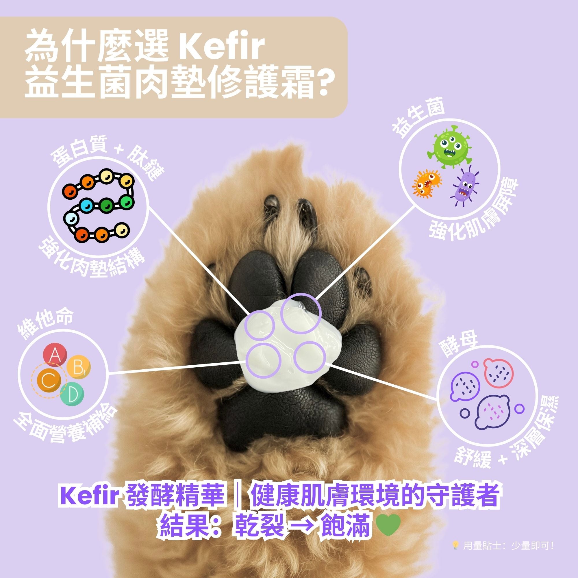 日本製 Kefir 益生菌肉墊修護霜