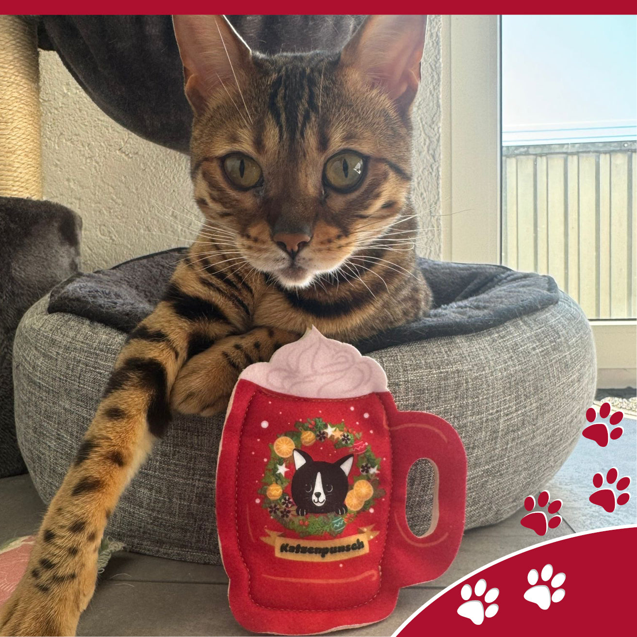 4cats - X-Mas Style Valerian (貓纈草