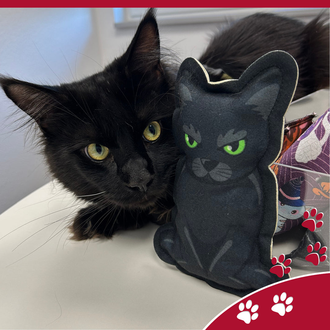 4cats - Halloween Style Catnip (貓薄荷+木天蓼 "萬聖攪鬼系列")