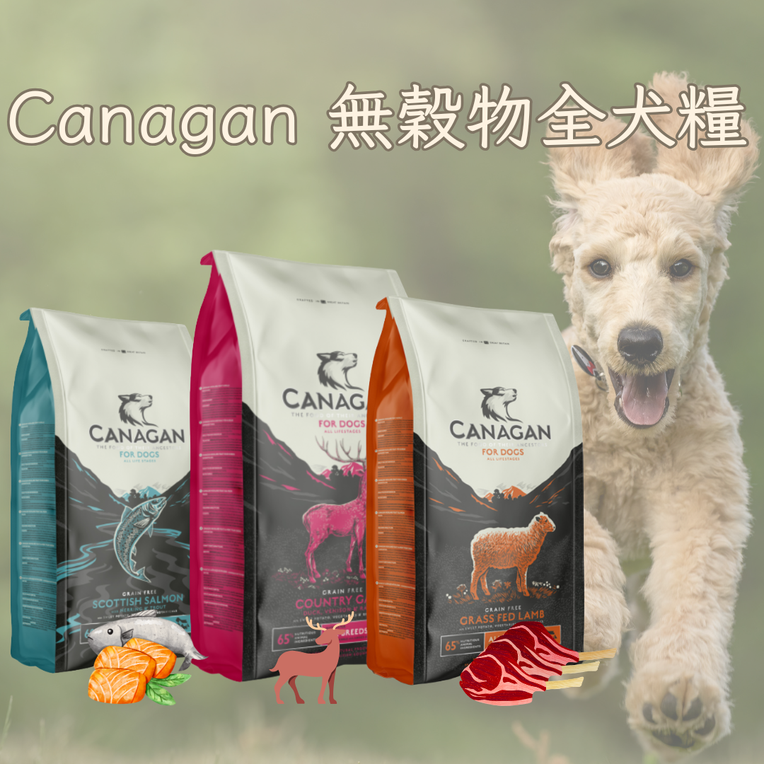 Canagan Grain-Free Dog Food | Scottish Salmon | Pastured Lamb
