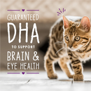 Stella &amp; Chewy's Grain-Free Kitten Chicken &amp; Salmon Bone Broth &amp; Meat Pâté (24 Cans)