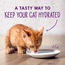 Stella &amp; Chewy's Grain-Free Kitten Chicken &amp; Salmon Bone Broth &amp; Meat Pâté (24 Cans)