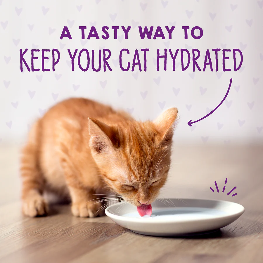 Stella &amp; Chewy's Grain-Free Kitten Chicken &amp; Salmon Bone Broth &amp; Meat Pâté (24 Cans)