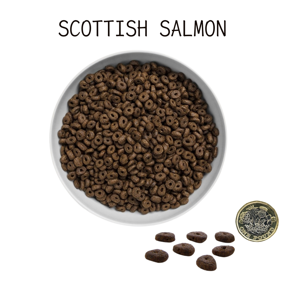 Canagan Small Breed 無穀物(全犬糧) 小型犬隻狗糧