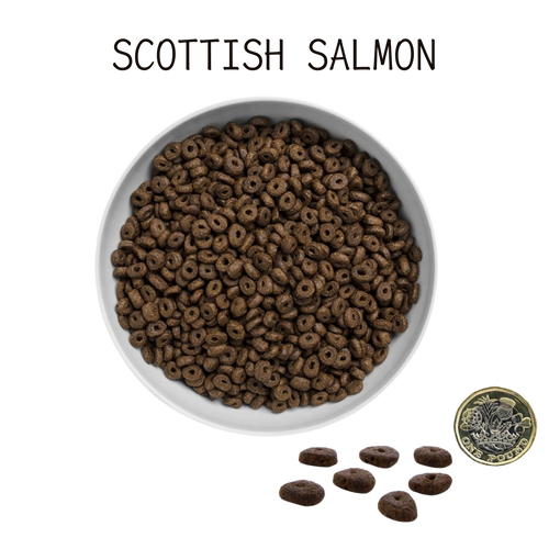 Canagan Small Breed 無穀物(全犬糧) 小型犬隻狗糧