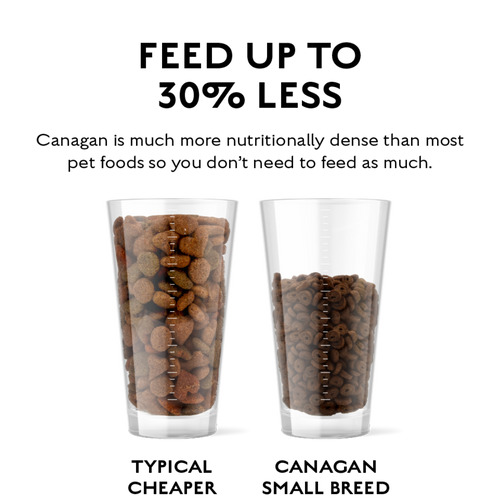 Canagan Small Breed 無穀物(全犬糧) 小型犬隻狗糧