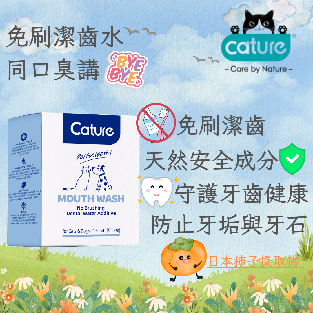 Cature 迦爵 日本柿子提取物 免刷潔齒水 150ml (30小包)