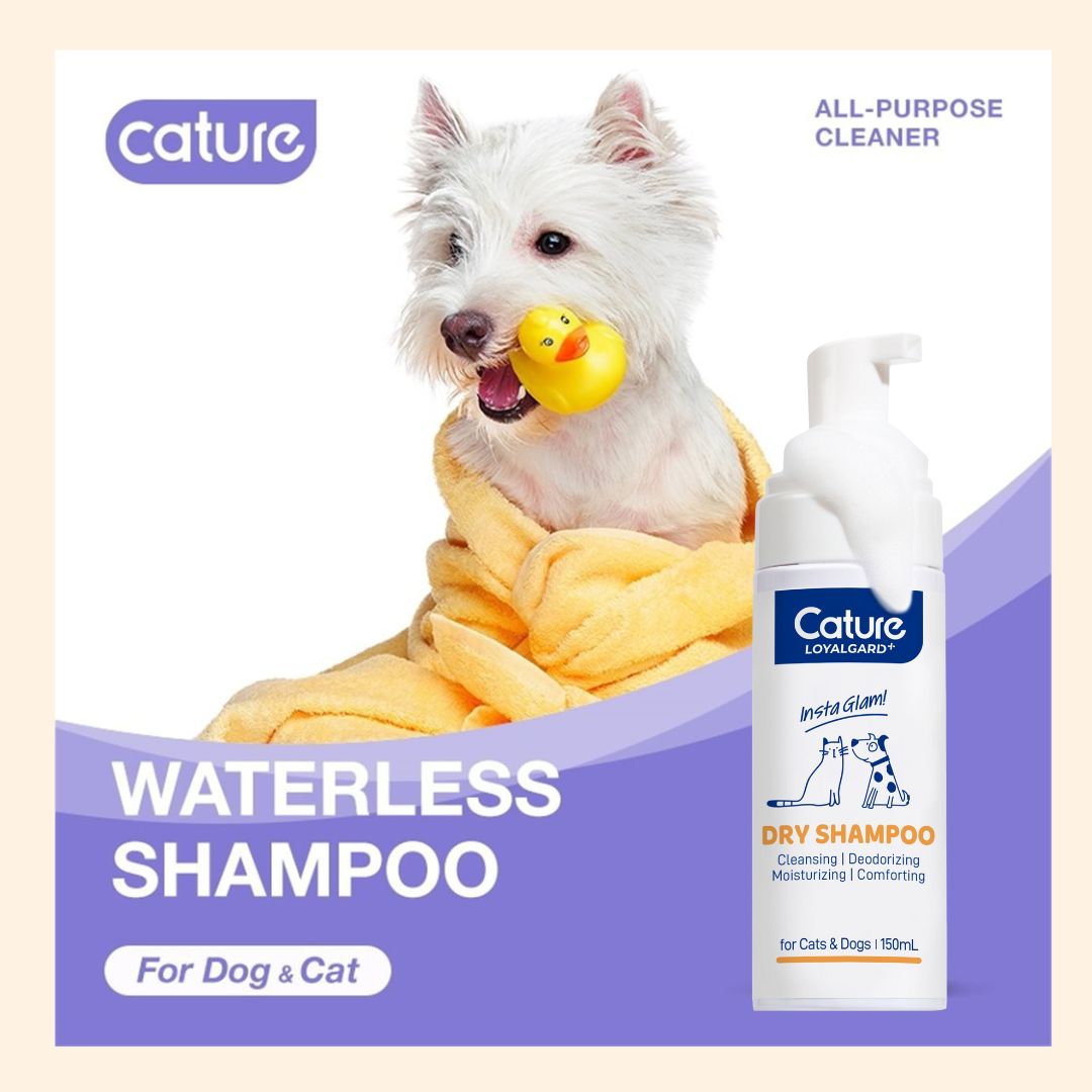 Cature Plant Extract Antibacterial Deodorizing Dry Cleaning Foam 150ml (For Cats and Dogs)