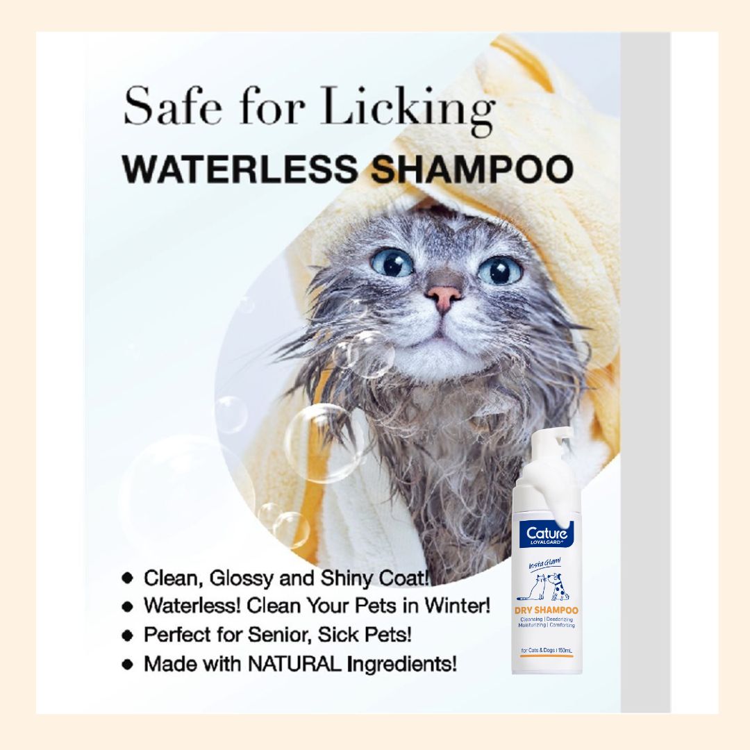 Cature 迦爵 植物精粹 抑菌除臭 乾洗泡沫 150ml (貓狗合用) 