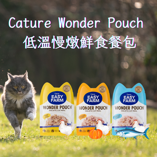 Cature 迦爵 Wonder Pouch  貓貓低溫慢燉鮮食餐包 85g