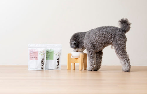 saesa Additive-Free Vegetable Topper 日本製狗狗風乾蔬菜 5g × 10小包