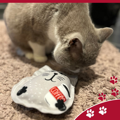 4cats - Crazy Style Valerian (Cat Valerian "Wild Series")