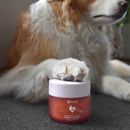 Kōrure Pets - New Zealand King Salmon Roe Freeze-Dried 35g [Heart Health - For Dogs]