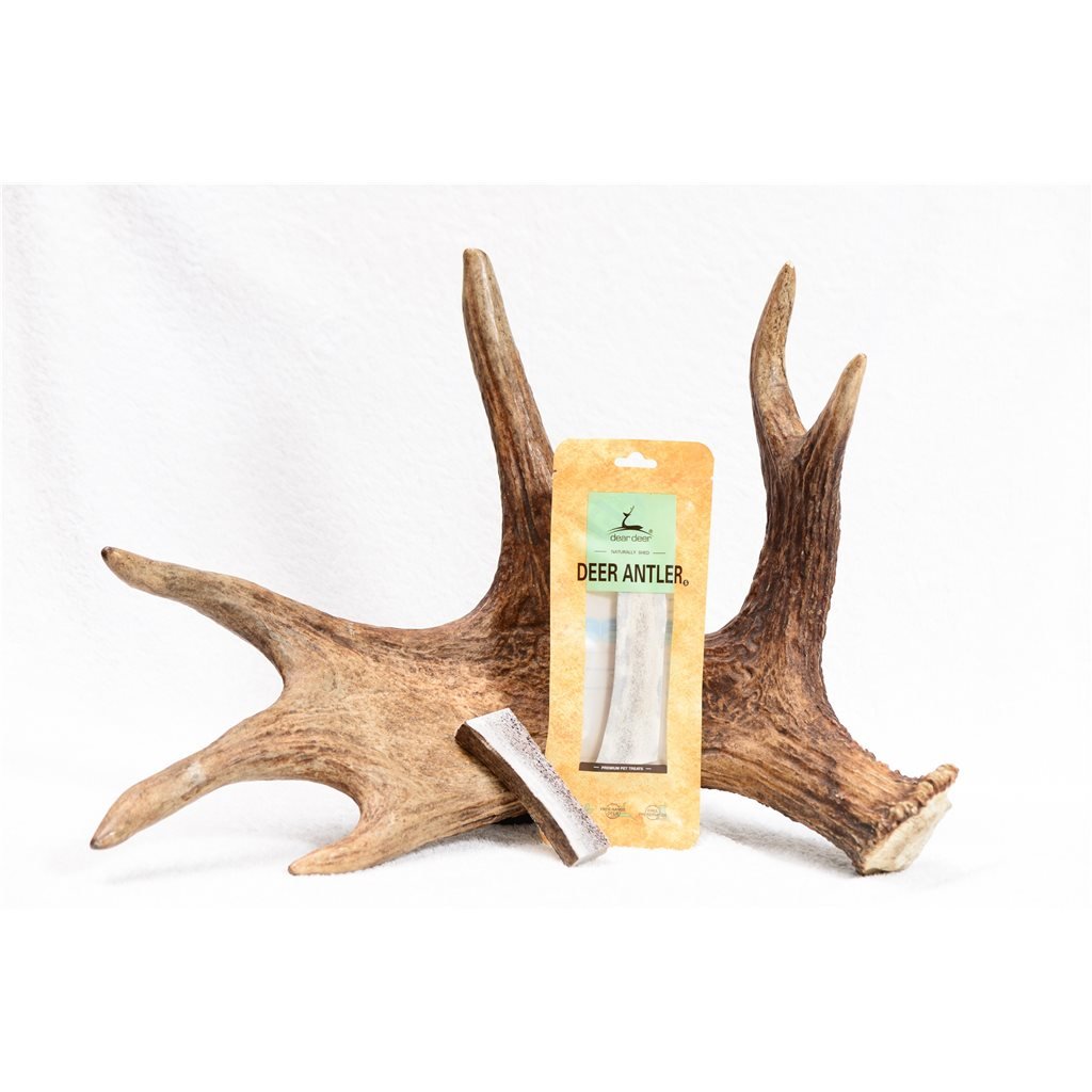 Dear Deer - Deer Antler 鹿角 4"